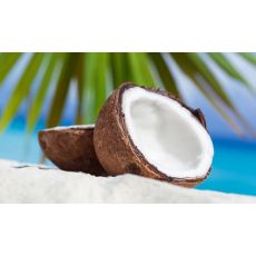 ANTIBAKTERIALNA vôňa do vysávača (kokos)