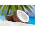 ANTIBAKTERIALNA vôňa do vysávača (kokos)