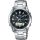 LCW-M100DSE-1AER CASIO (431)