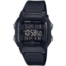 W-800H-1BVES CASIO (254)