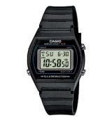 W-202-1AVEF CASIO (247)