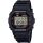 DW-5600RL-1ER G-SHOCK (322)