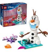 43287 Olaf a Bruni na zábav.pikniku LEGO