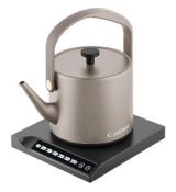 BM 503 Isabella kanvica Catler